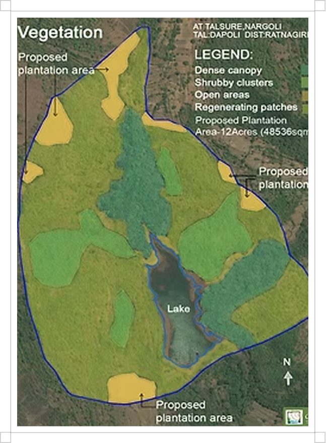 Ecological vegetation map at Talsure, Nargoli