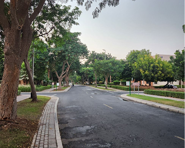 Internal paved road lined with trees
